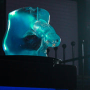Huge Penis Ice Luge